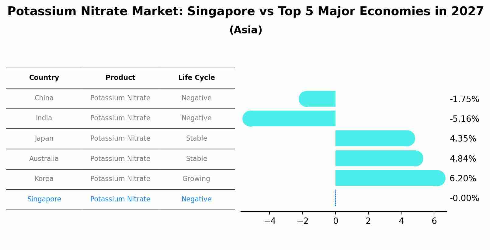 Potassium Nitrate Market: Singapore vs Top 5 Major Economies in 2027 (Asia)