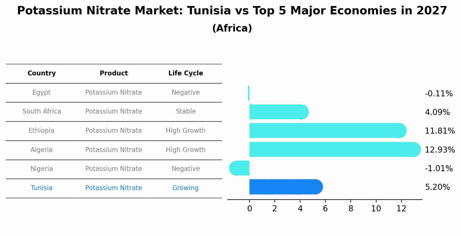 Potassium Nitrate Market: Tunisia vs Top 5 Major Economies in 2027 (Africa)