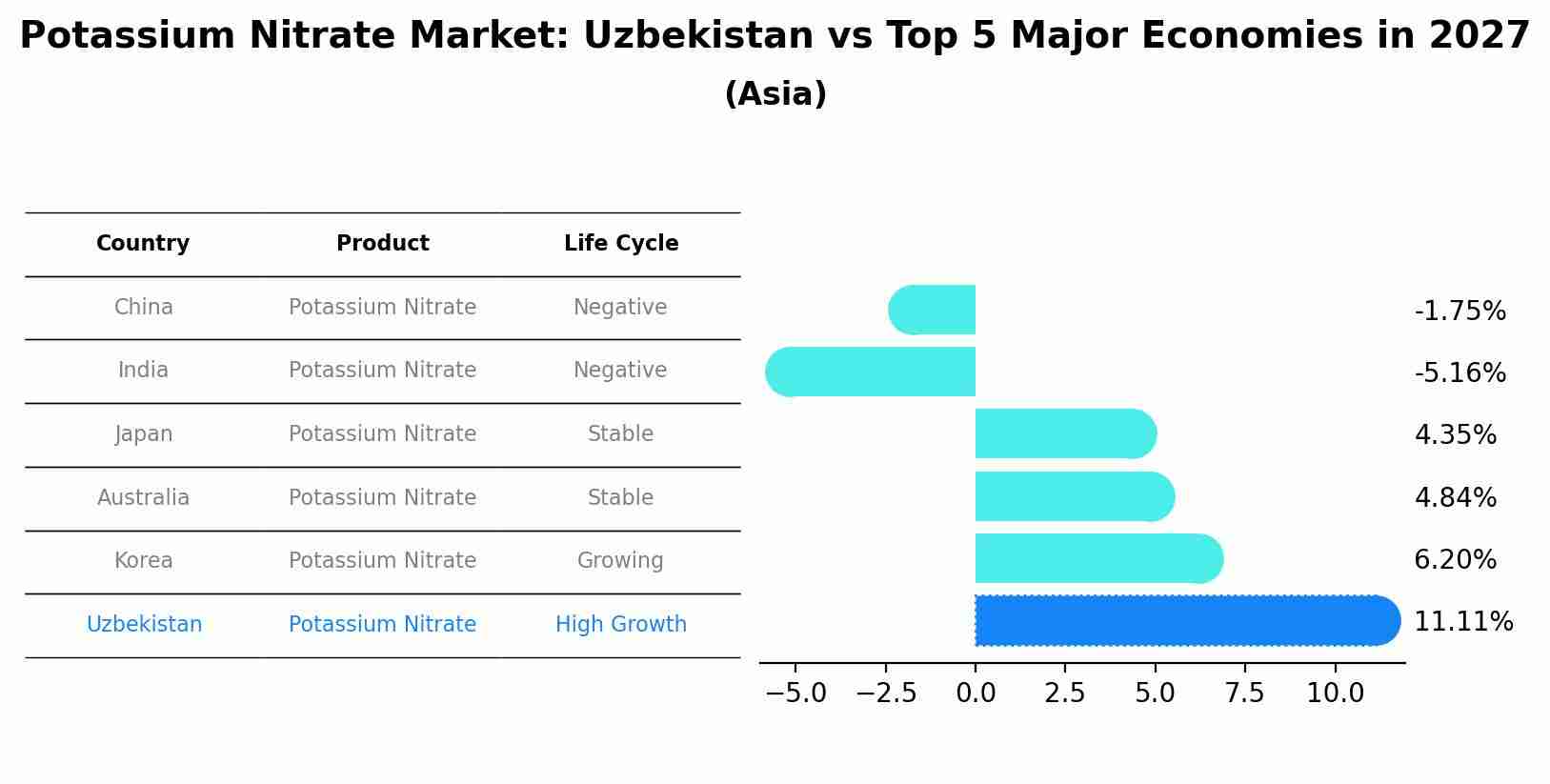 Potassium Nitrate Market: Uzbekistan vs Top 5 Major Economies in 2027 (Asia)
