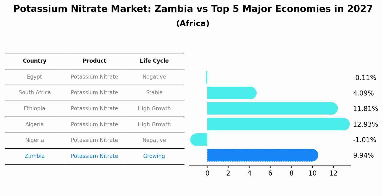 Potassium Nitrate Market: Zambia vs Top 5 Major Economies in 2027 (Africa)