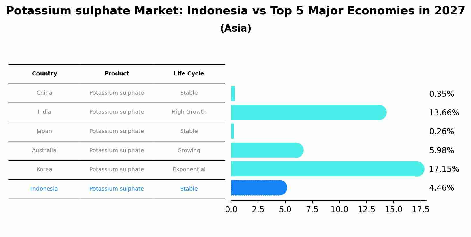 Potassium sulphate Market: Indonesia vs Top 5 Major Economies in 2027 (Asia)