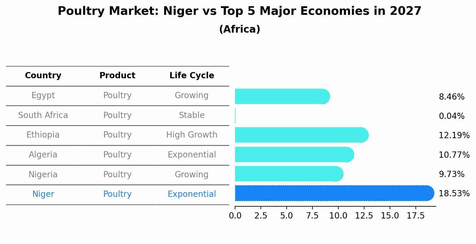 Poultry Market: Niger vs Top 5 Major Economies in 2027 (Africa)