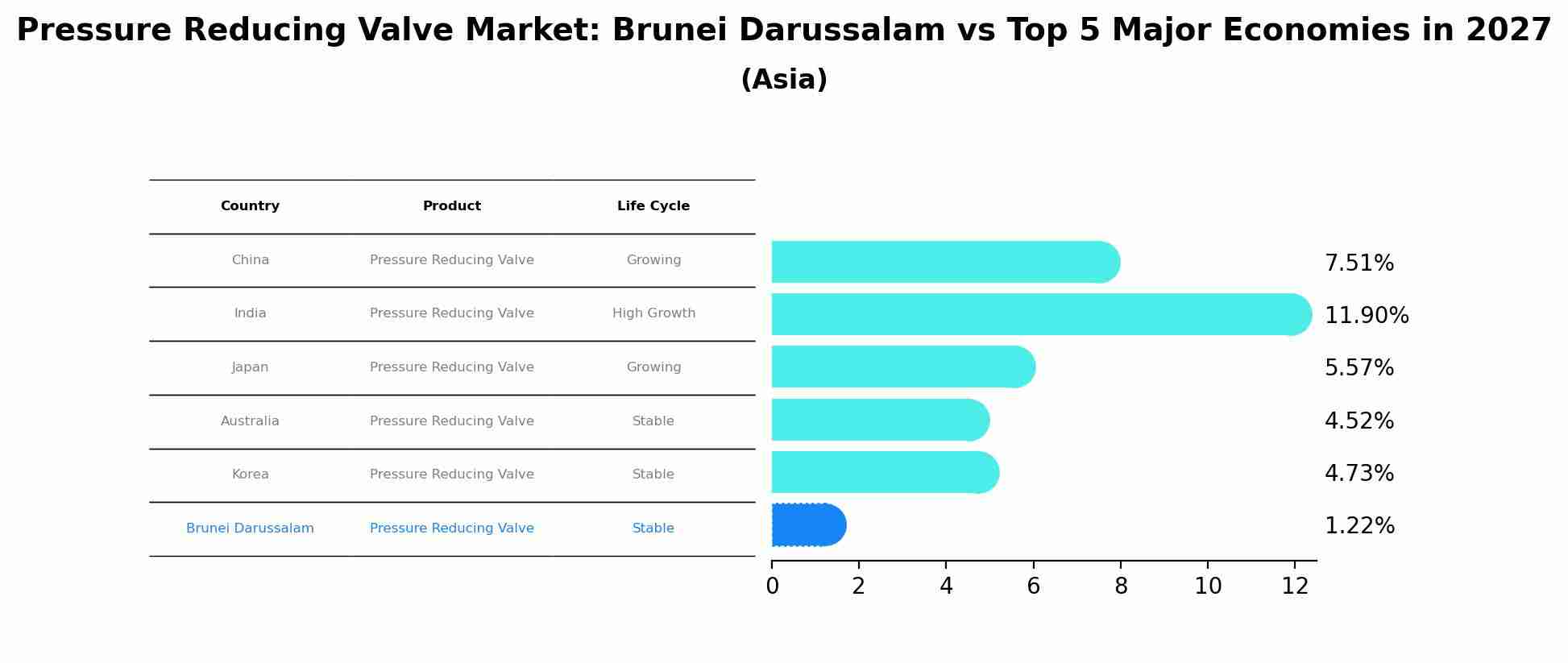 Pressure Reducing Valve Market: Brunei Darussalam vs Top 5 Major Economies in 2027 (Asia)