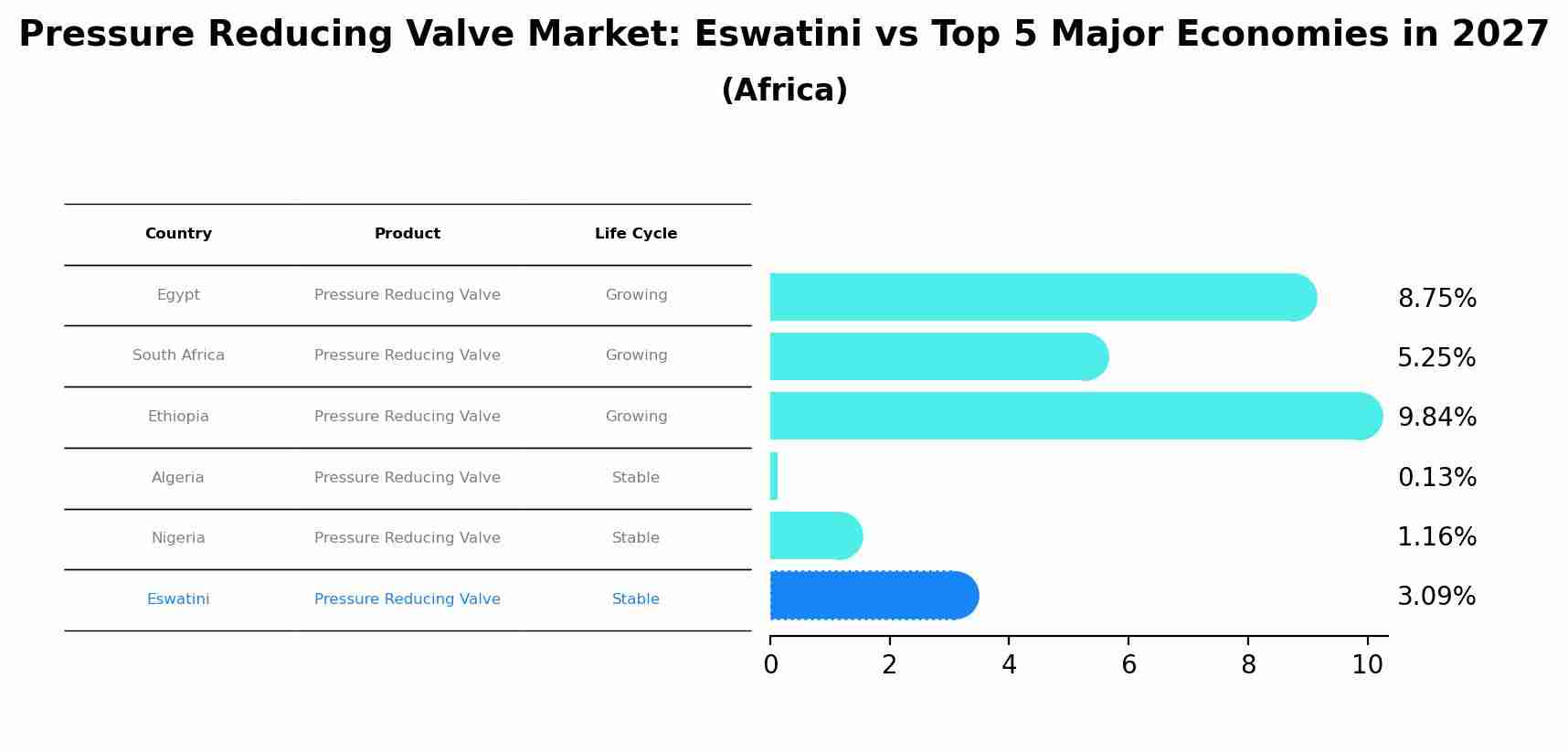 Pressure Reducing Valve Market: Eswatini vs Top 5 Major Economies in 2027 (Africa)
