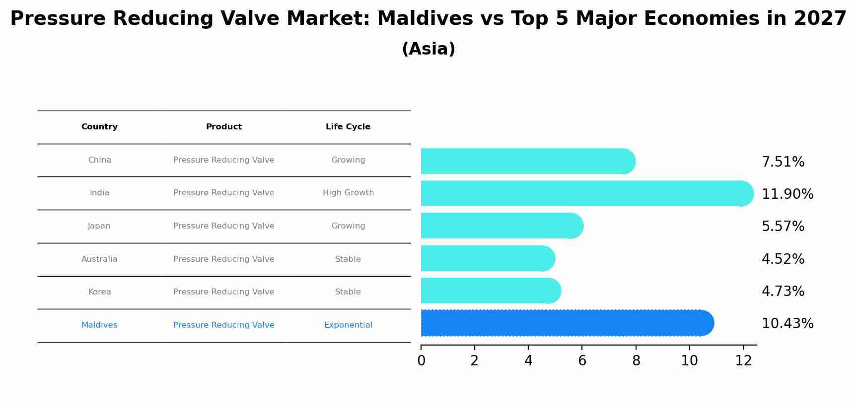 Pressure Reducing Valve Market: Maldives vs Top 5 Major Economies in 2027 (Asia)
