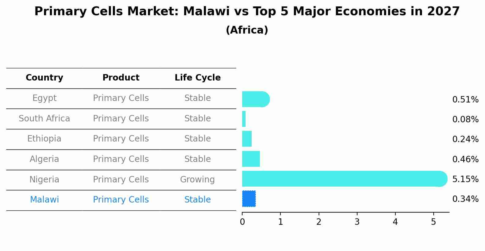 Primary Cells Market: Malawi vs Top 5 Major Economies in 2027 (Africa)