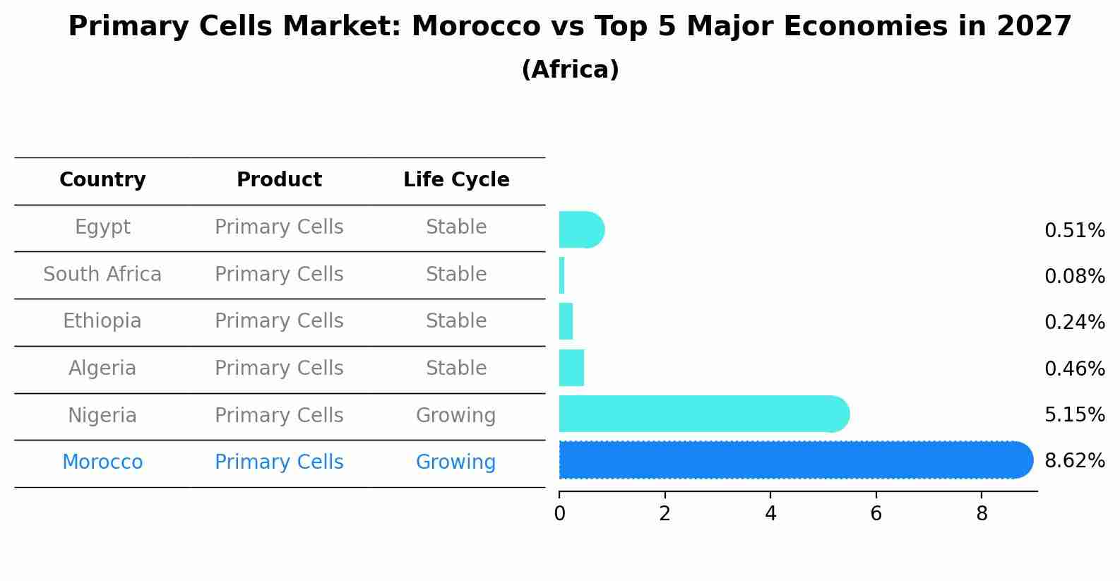 Primary Cells Market: Morocco vs Top 5 Major Economies in 2027 (Africa)