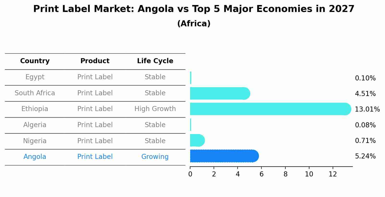 Print Label Market: Angola vs Top 5 Major Economies in 2027 (Africa)