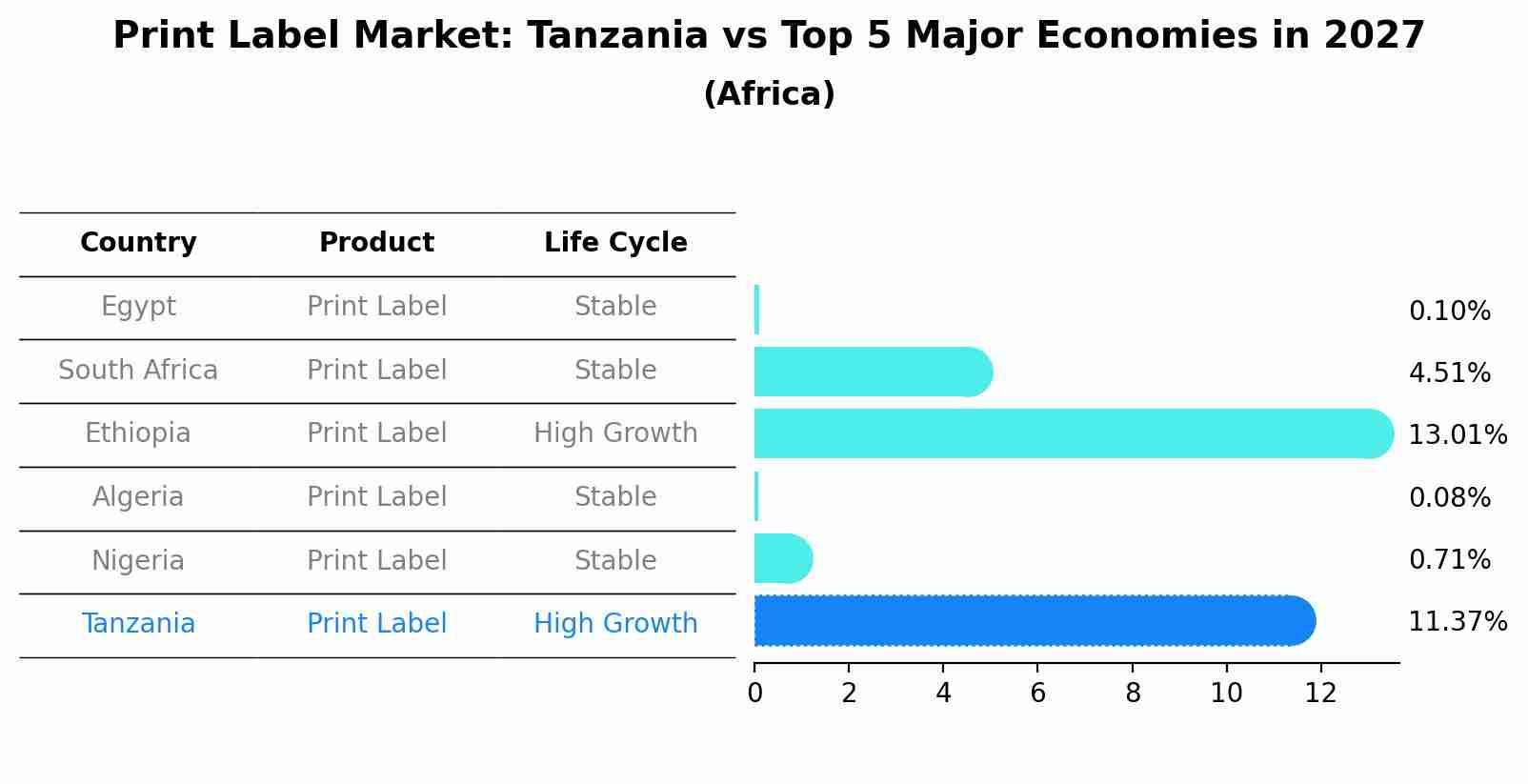 Print Label Market: Tanzania vs Top 5 Major Economies in 2027 (Africa)