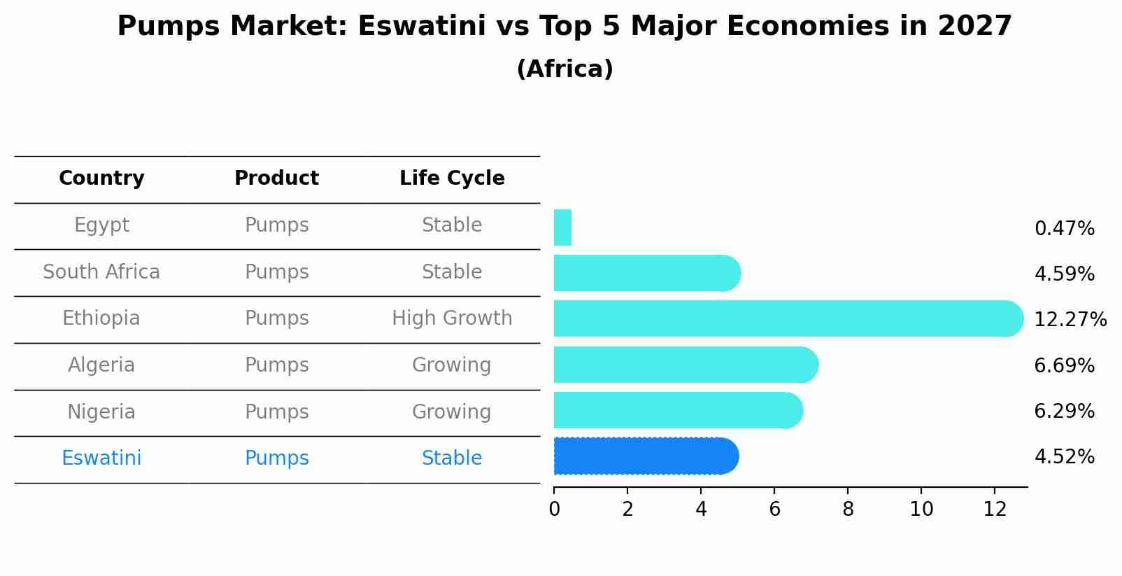 Pumps Market: Eswatini vs Top 5 Major Economies in 2027 (Africa)