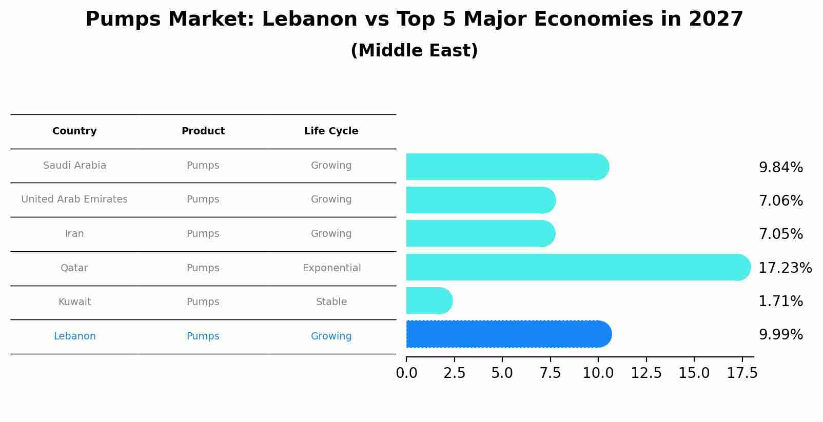Pumps Market: Lebanon vs Top 5 Major Economies in 2027 (Middle East)