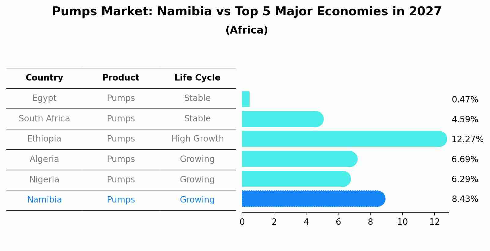 Pumps Market: Namibia vs Top 5 Major Economies in 2027 (Africa)