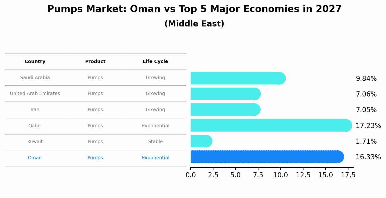 Pumps Market: Oman vs Top 5 Major Economies in 2027 (Middle East)