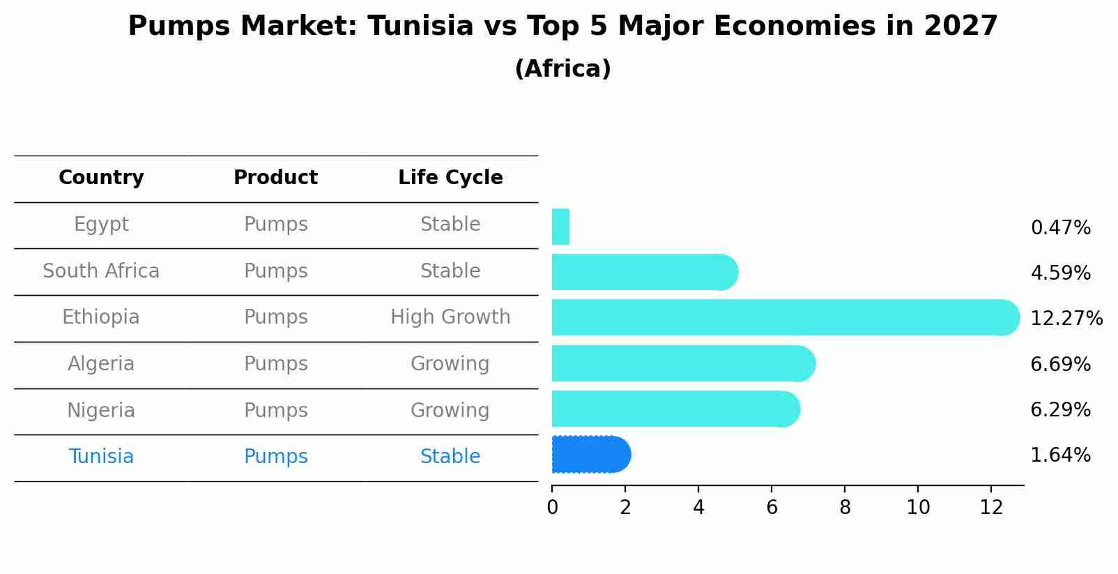 Pumps Market: Tunisia vs Top 5 Major Economies in 2027 (Africa)