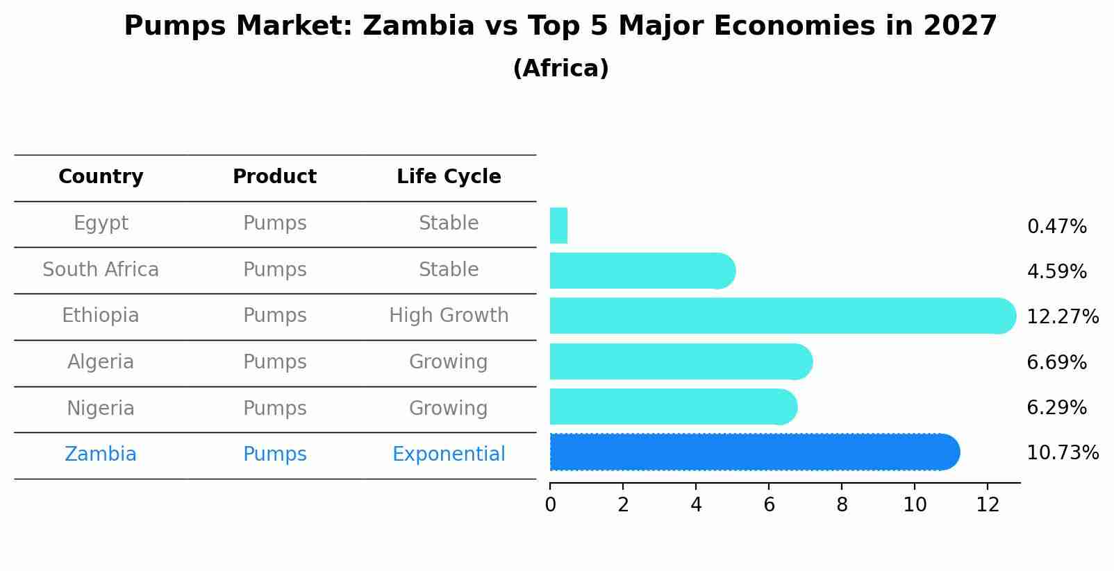 Pumps Market: Zambia vs Top 5 Major Economies in 2027 (Africa)
