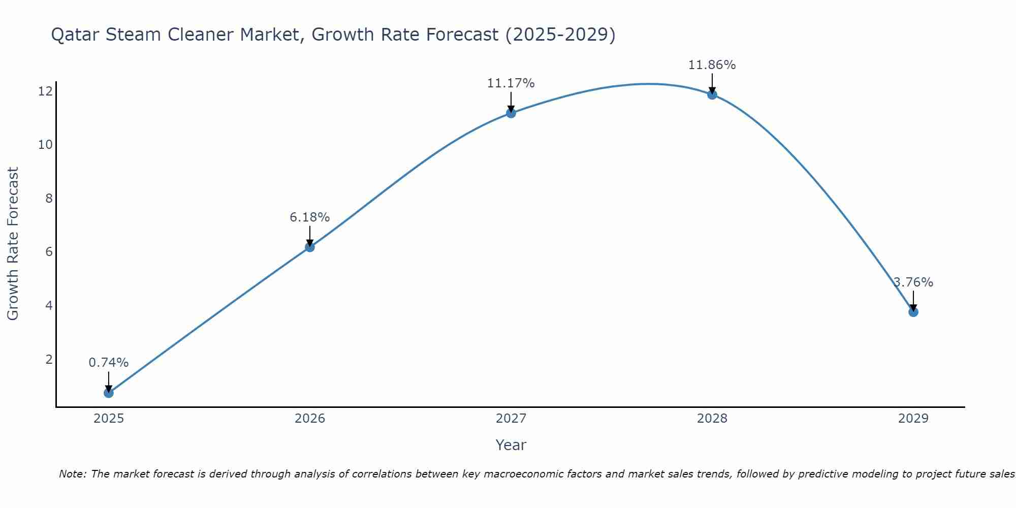 Qatar Steam Cleaner Market Size Growth Rate