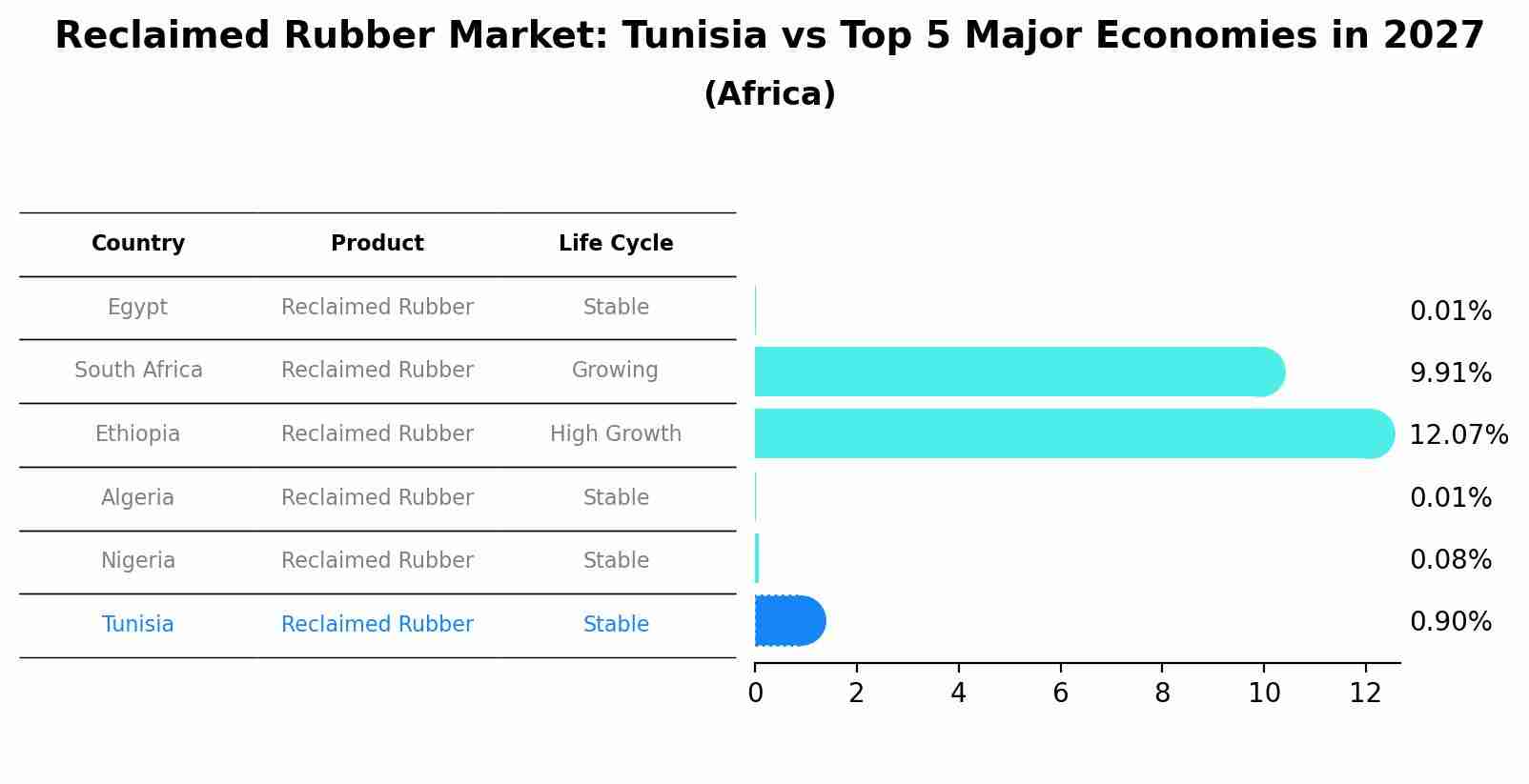 Reclaimed Rubber Market: Tunisia vs Top 5 Major Economies in 2027 (Africa)