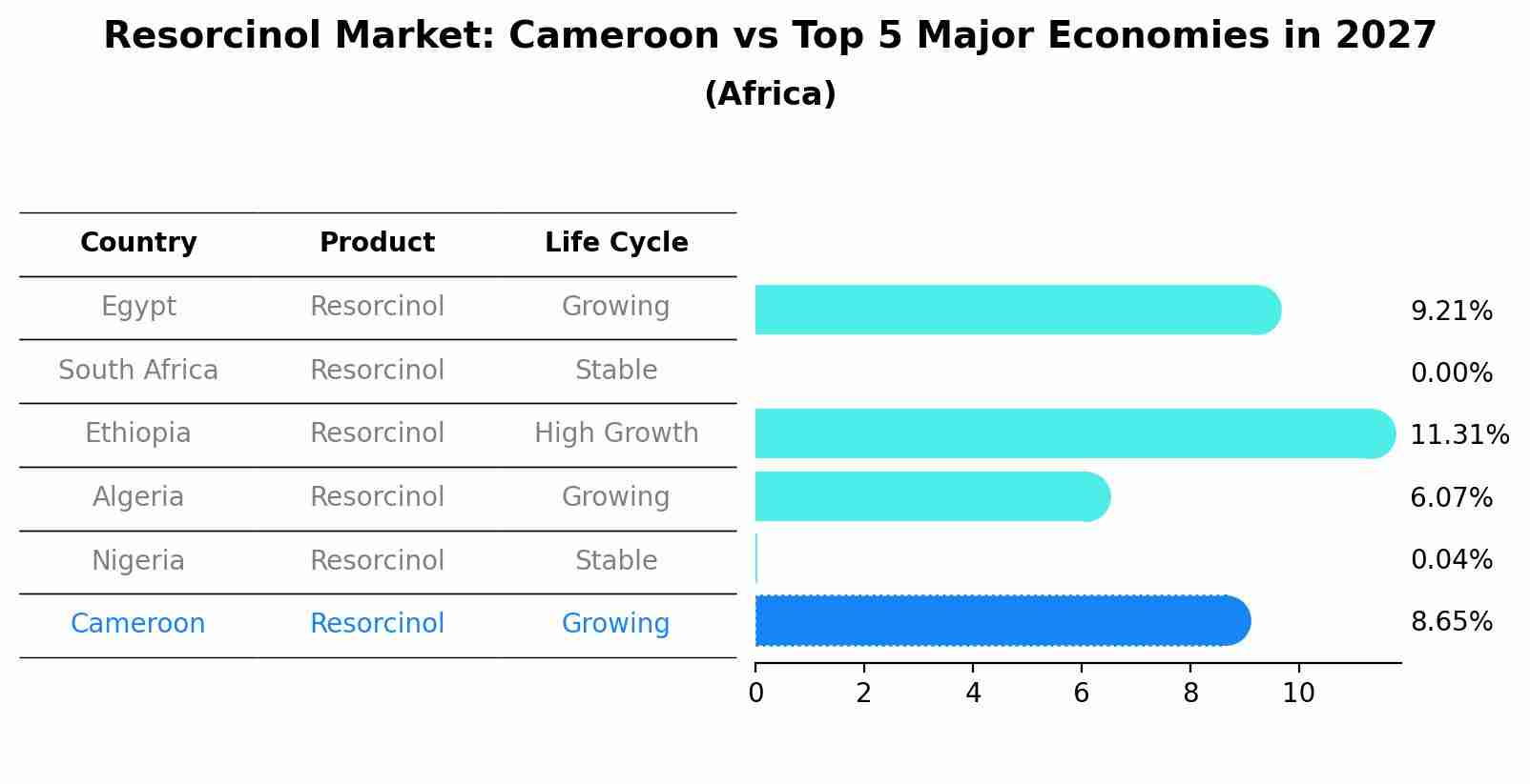 Resorcinol Market: Cameroon vs Top 5 Major Economies in 2027 (Africa)