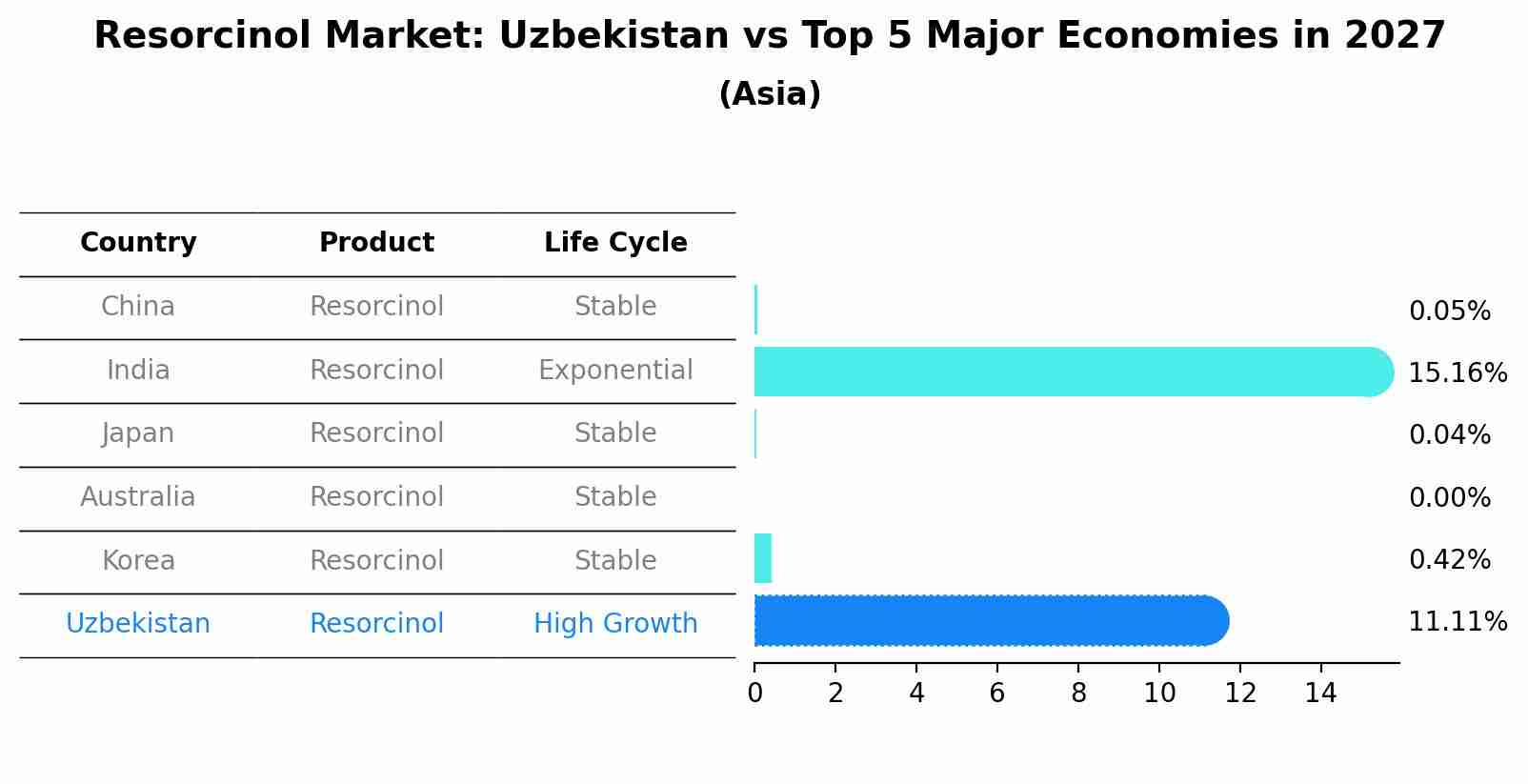 Resorcinol Market: Uzbekistan vs Top 5 Major Economies in 2027 (Asia)