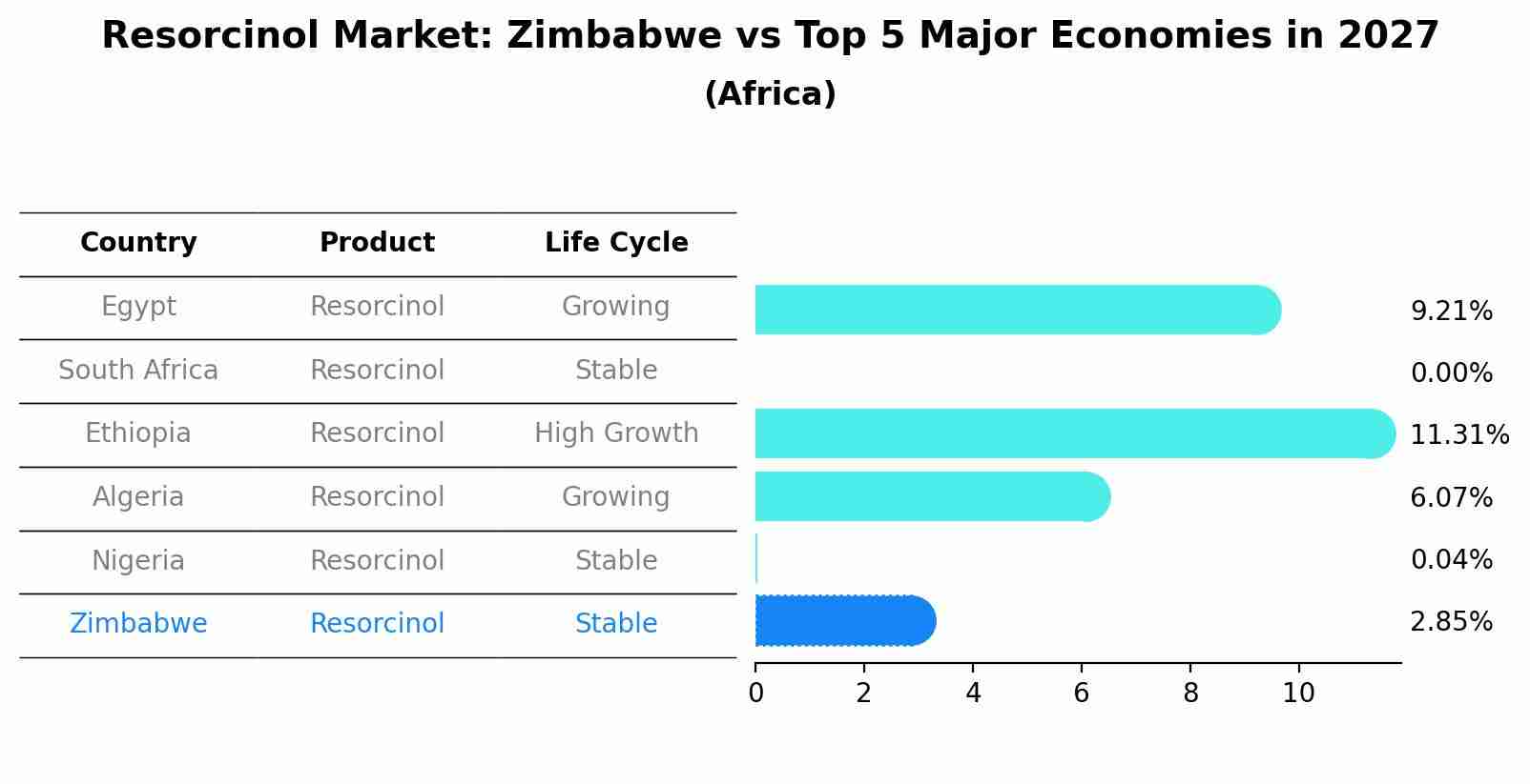 Resorcinol Market: Zimbabwe vs Top 5 Major Economies in 2027 (Africa)