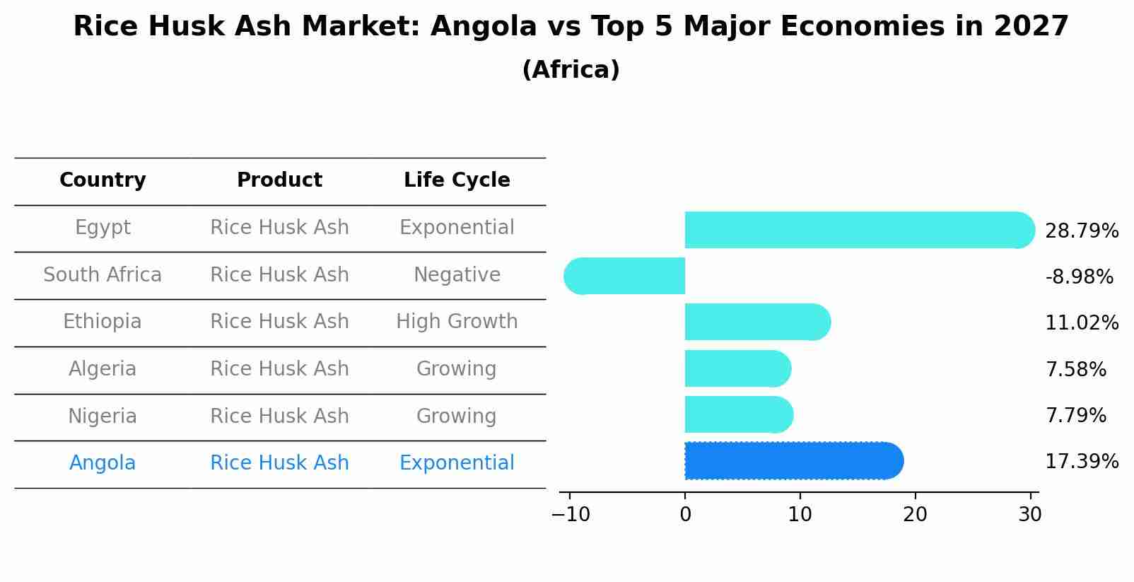 Rice Husk Ash Market: Angola vs Top 5 Major Economies in 2027 (Africa)
