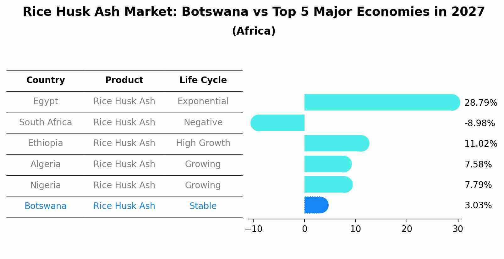 Rice Husk Ash Market: Botswana vs Top 5 Major Economies in 2027 (Africa)