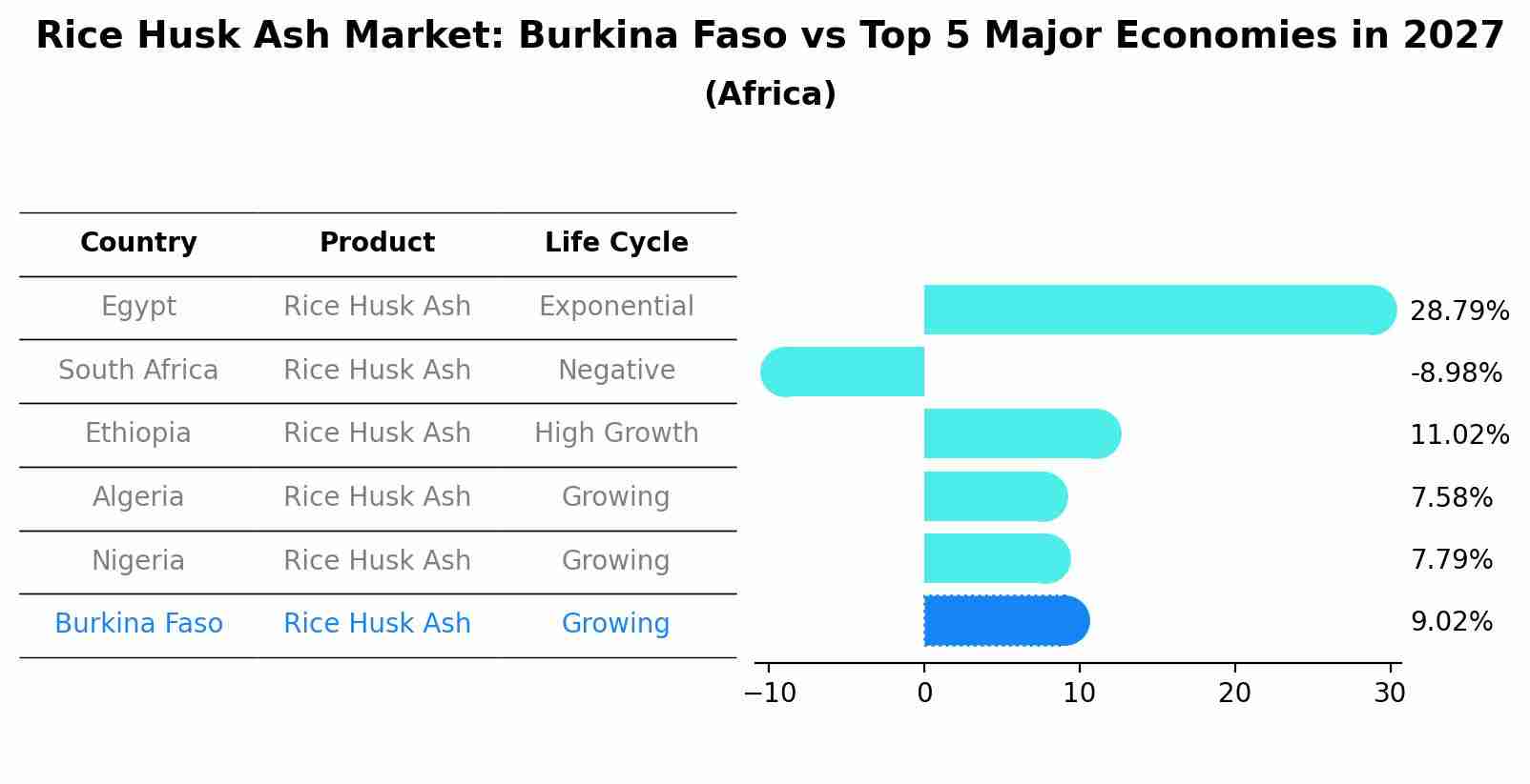 Rice Husk Ash Market: Burkina Faso vs Top 5 Major Economies in 2027 (Africa)