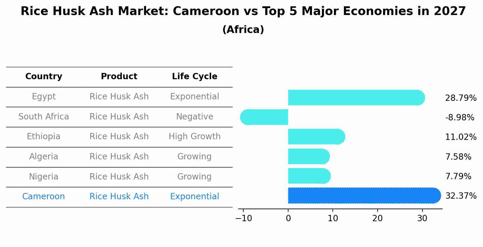 Rice Husk Ash Market: Cameroon vs Top 5 Major Economies in 2027 (Africa)