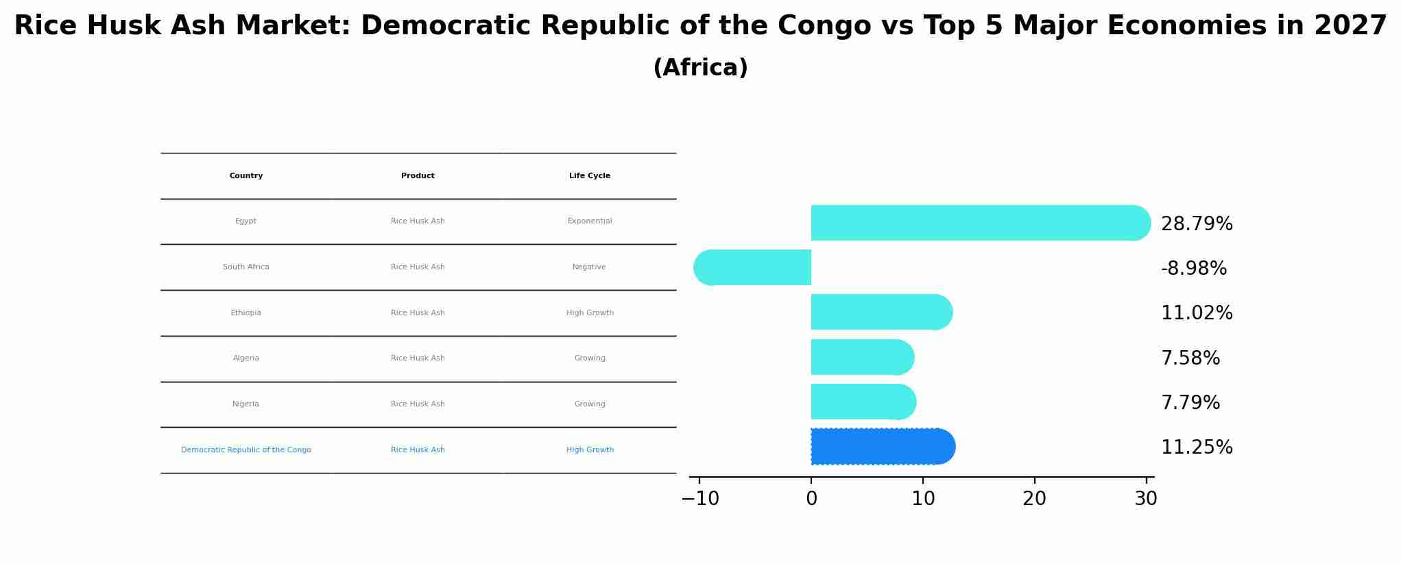 Rice Husk Ash Market: Democratic Republic of the Congo vs Top 5 Major Economies in 2027 (Africa)