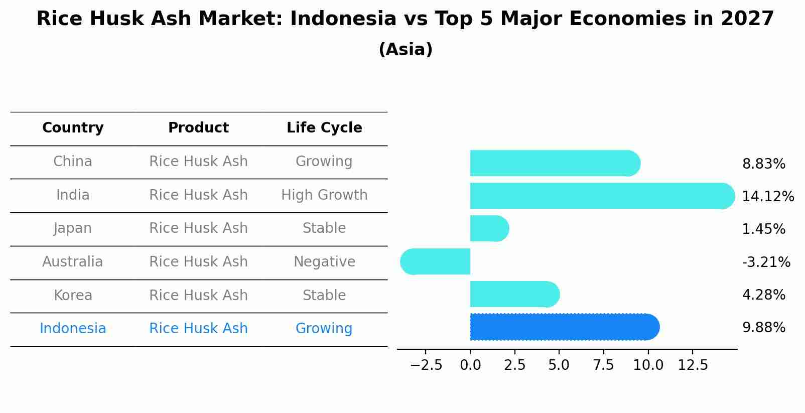 Rice Husk Ash Market: Indonesia vs Top 5 Major Economies in 2027 (Asia)