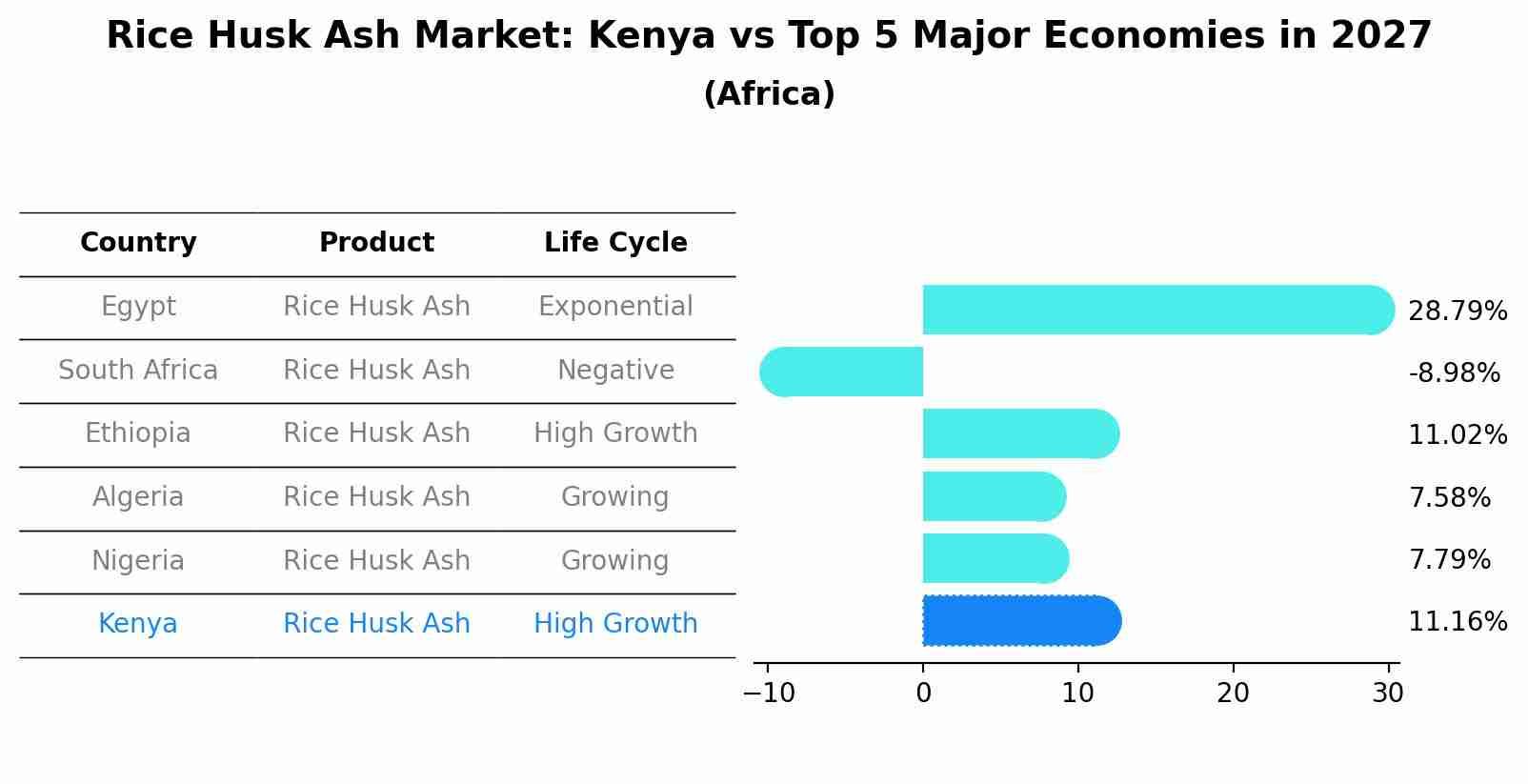 Rice Husk Ash Market: Kenya vs Top 5 Major Economies in 2027 (Africa)