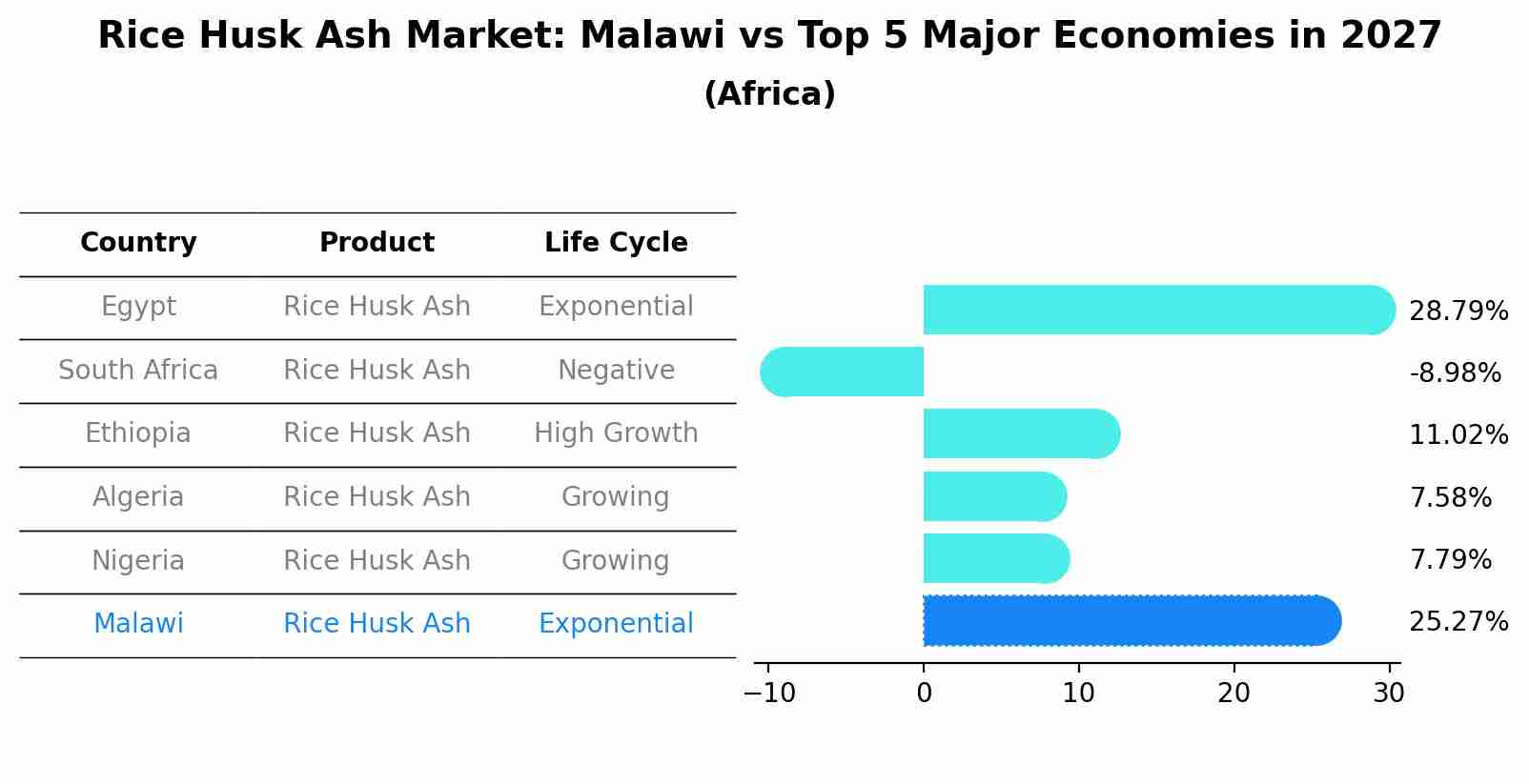 Rice Husk Ash Market: Malawi vs Top 5 Major Economies in 2027 (Africa)