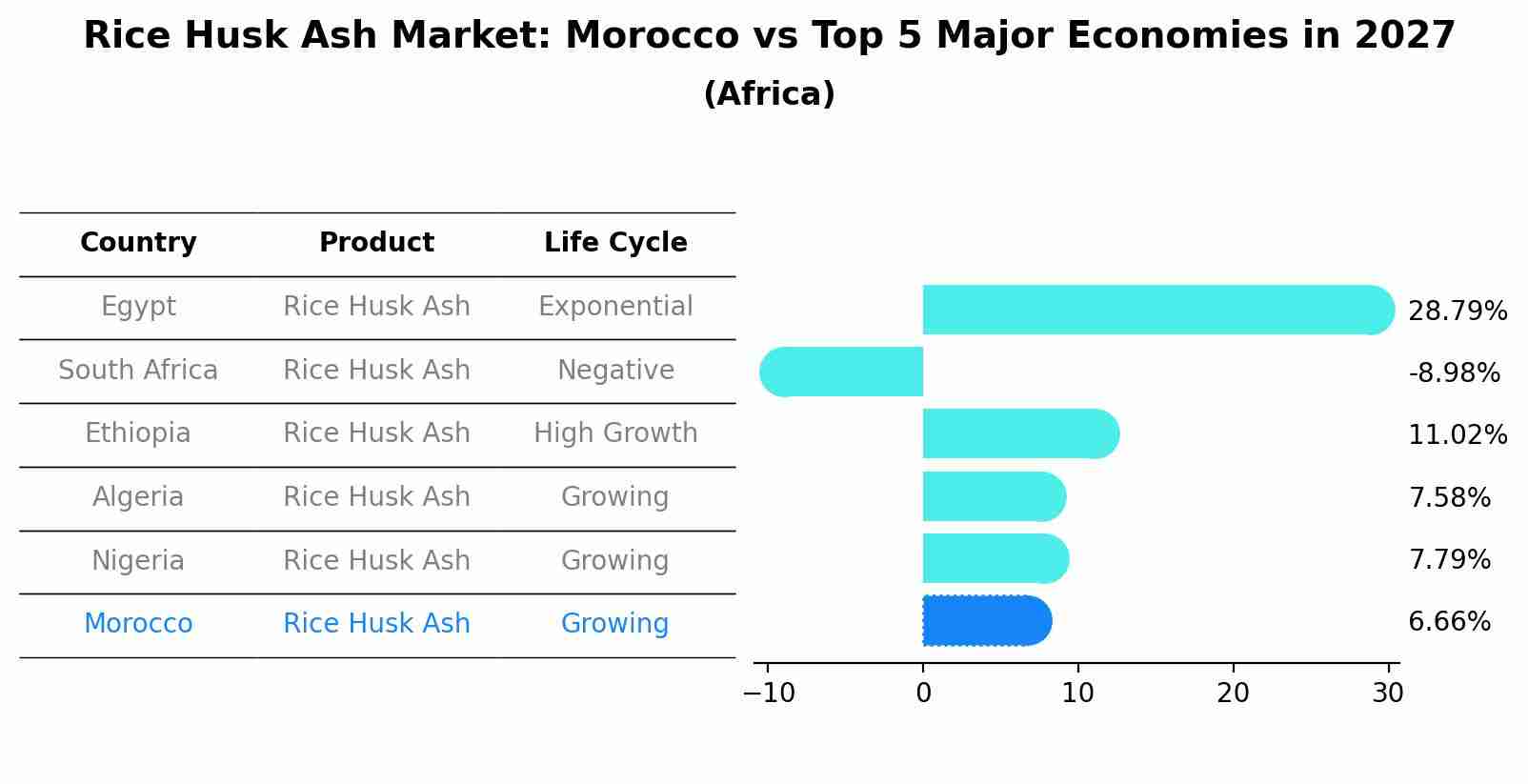 Rice Husk Ash Market: Morocco vs Top 5 Major Economies in 2027 (Africa)
