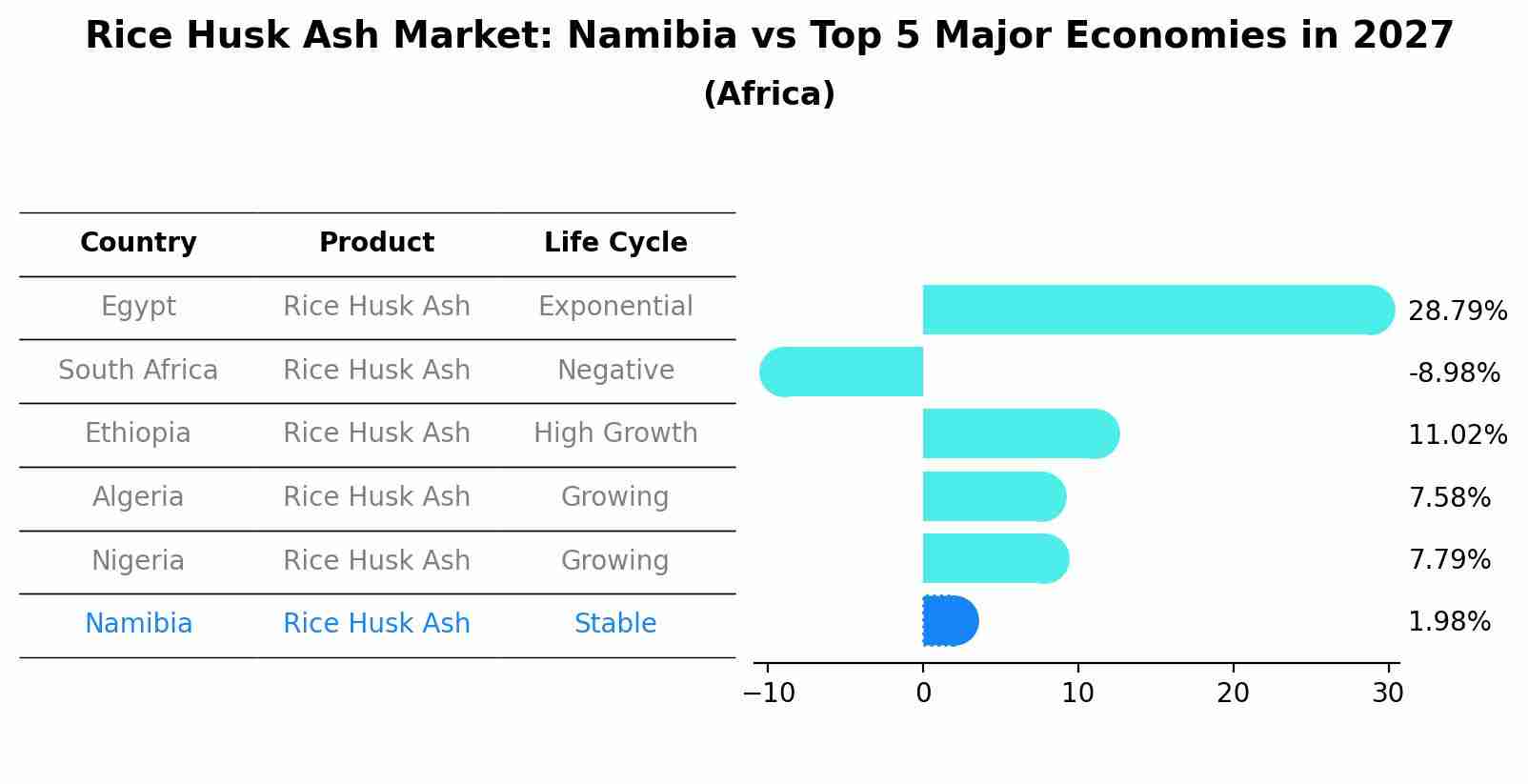 Rice Husk Ash Market: Namibia vs Top 5 Major Economies in 2027 (Africa)