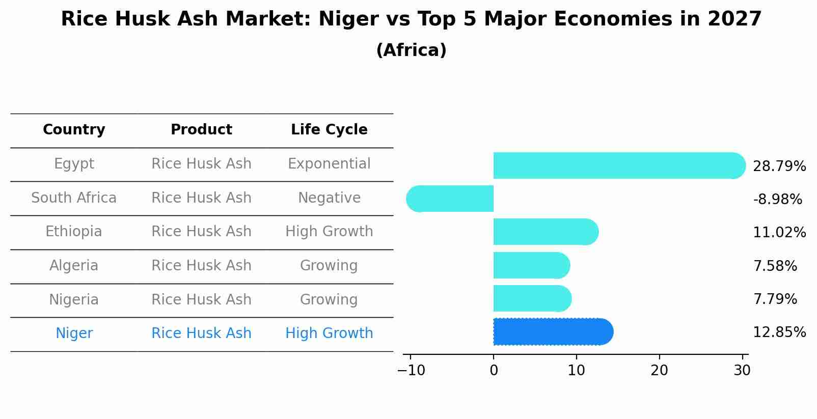 Rice Husk Ash Market: Niger vs Top 5 Major Economies in 2027 (Africa)