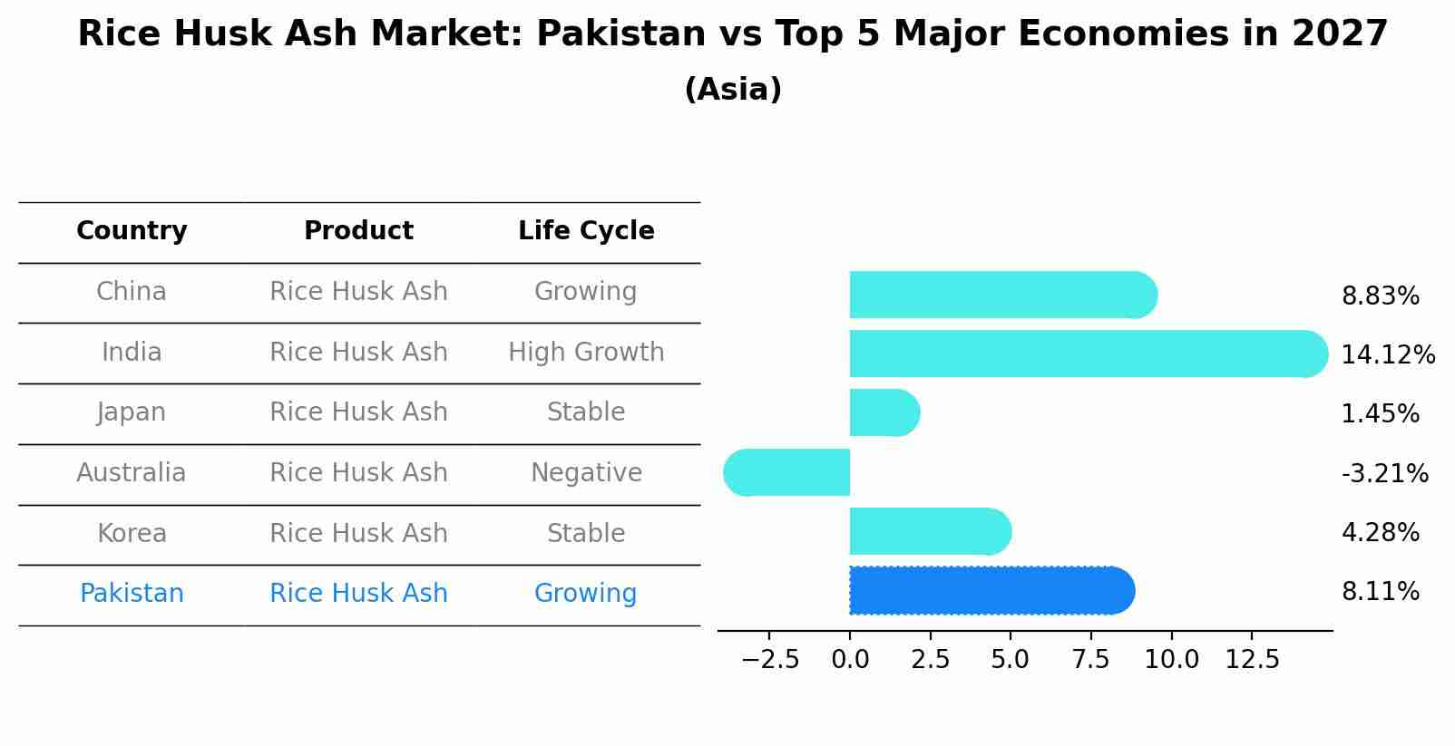 Rice Husk Ash Market: Pakistan vs Top 5 Major Economies in 2027 (Asia)