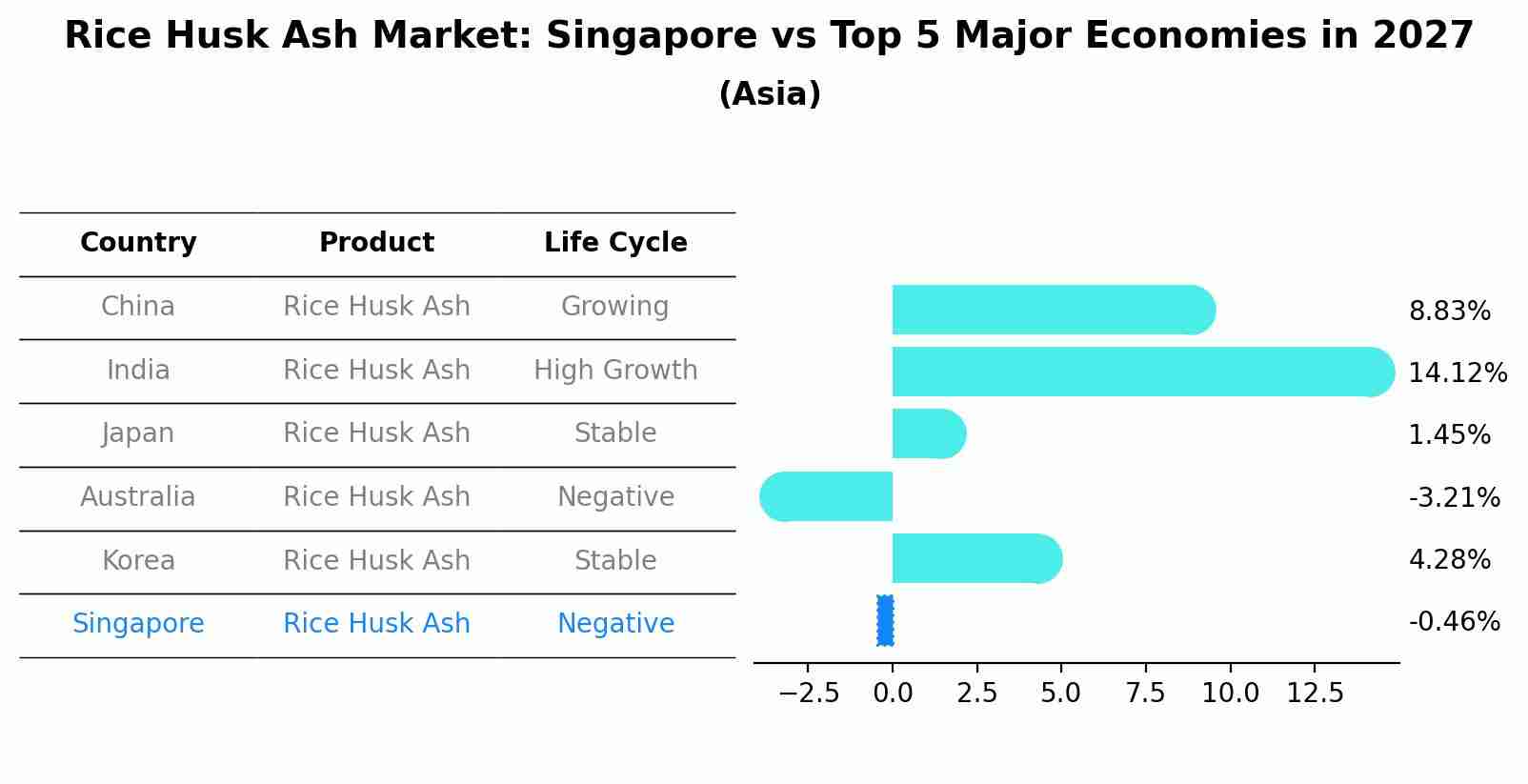 Rice Husk Ash Market: Singapore vs Top 5 Major Economies in 2027 (Asia)