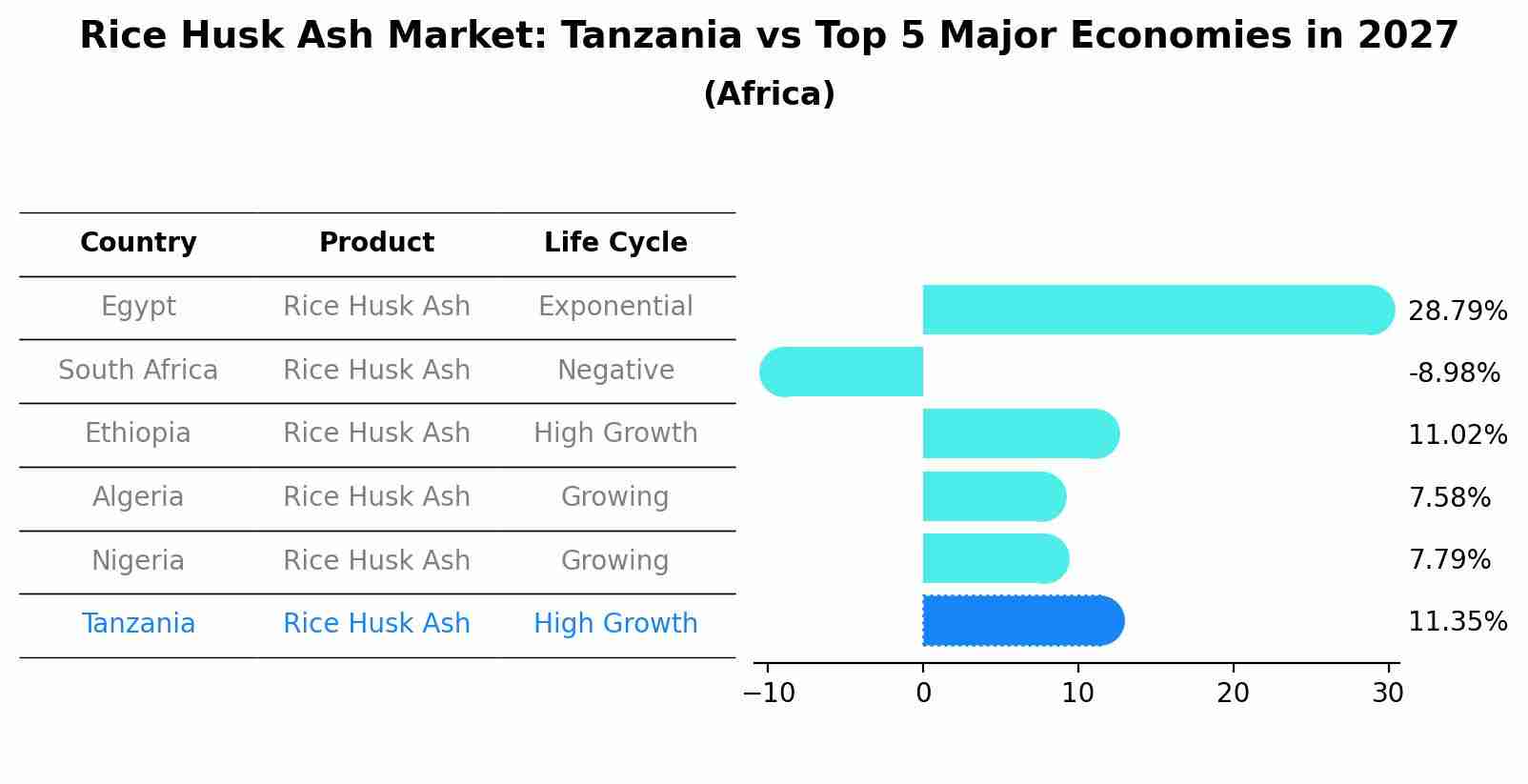 Rice Husk Ash Market: Tanzania vs Top 5 Major Economies in 2027 (Africa)