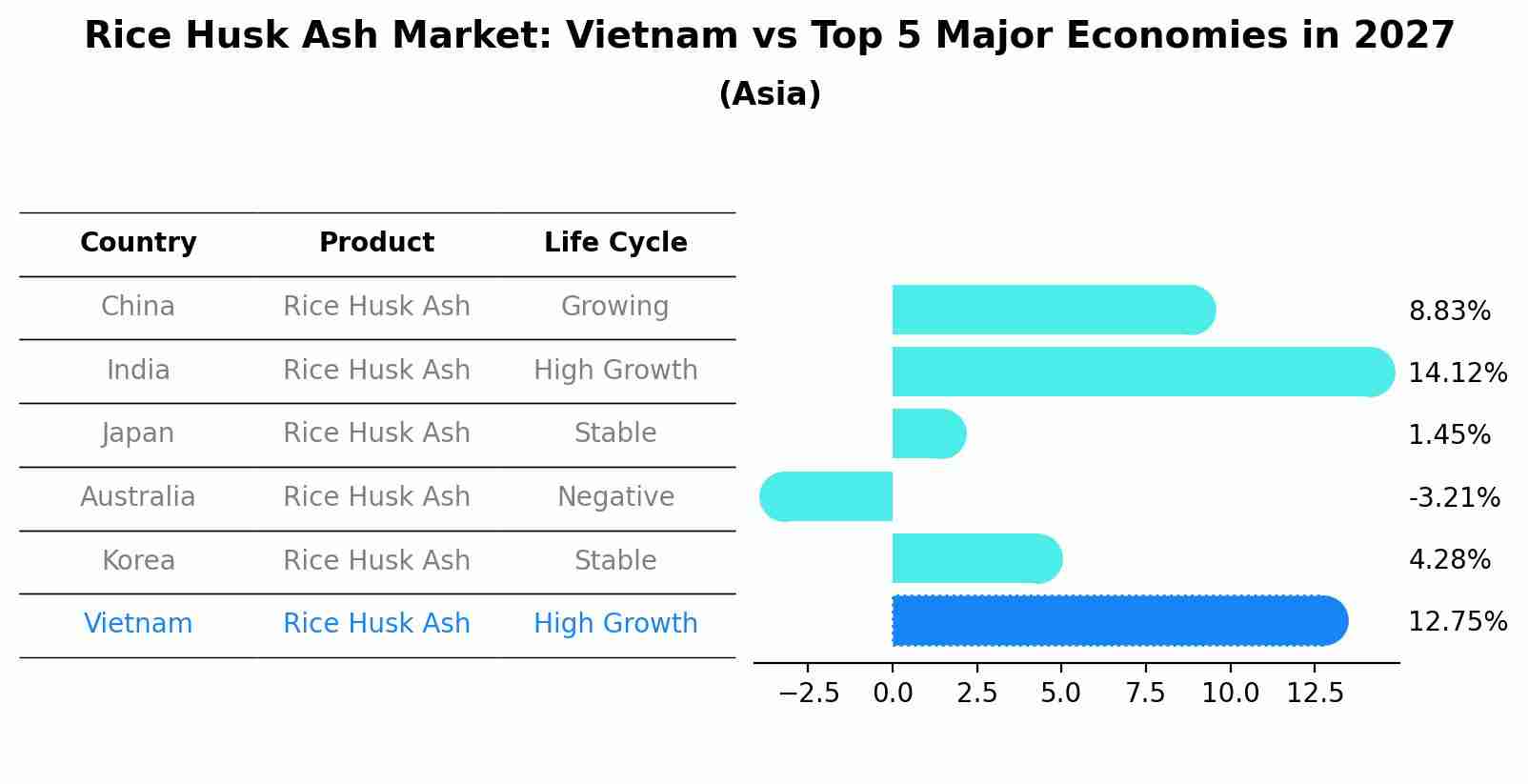 Rice Husk Ash Market: Vietnam vs Top 5 Major Economies in 2027 (Asia)