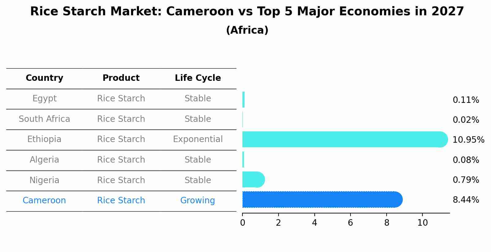 Rice Starch Market: Cameroon vs Top 5 Major Economies in 2027 (Africa)