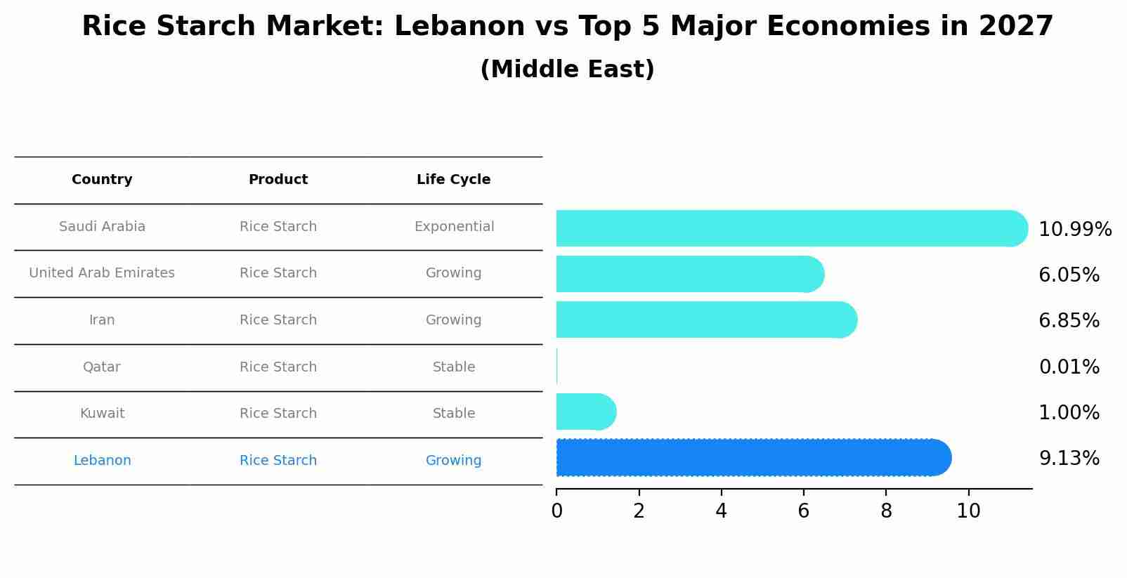 Rice Starch Market: Lebanon vs Top 5 Major Economies in 2027 (Middle East)