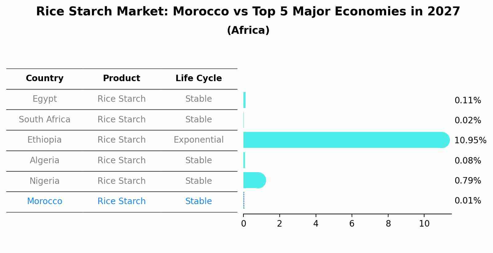 Rice Starch Market: Morocco vs Top 5 Major Economies in 2027 (Africa)