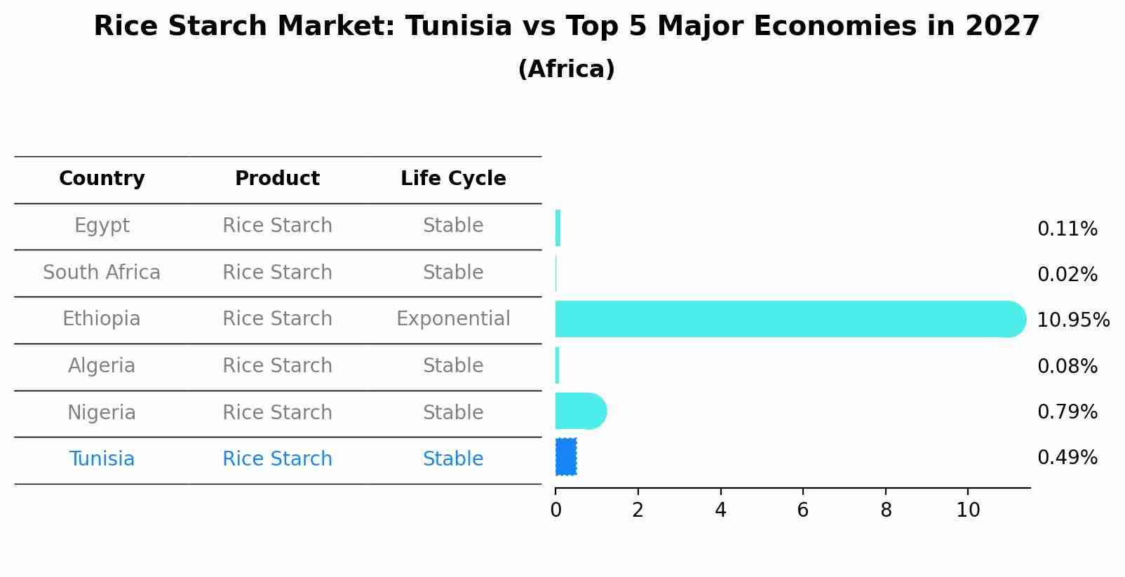 Rice Starch Market: Tunisia vs Top 5 Major Economies in 2027 (Africa)