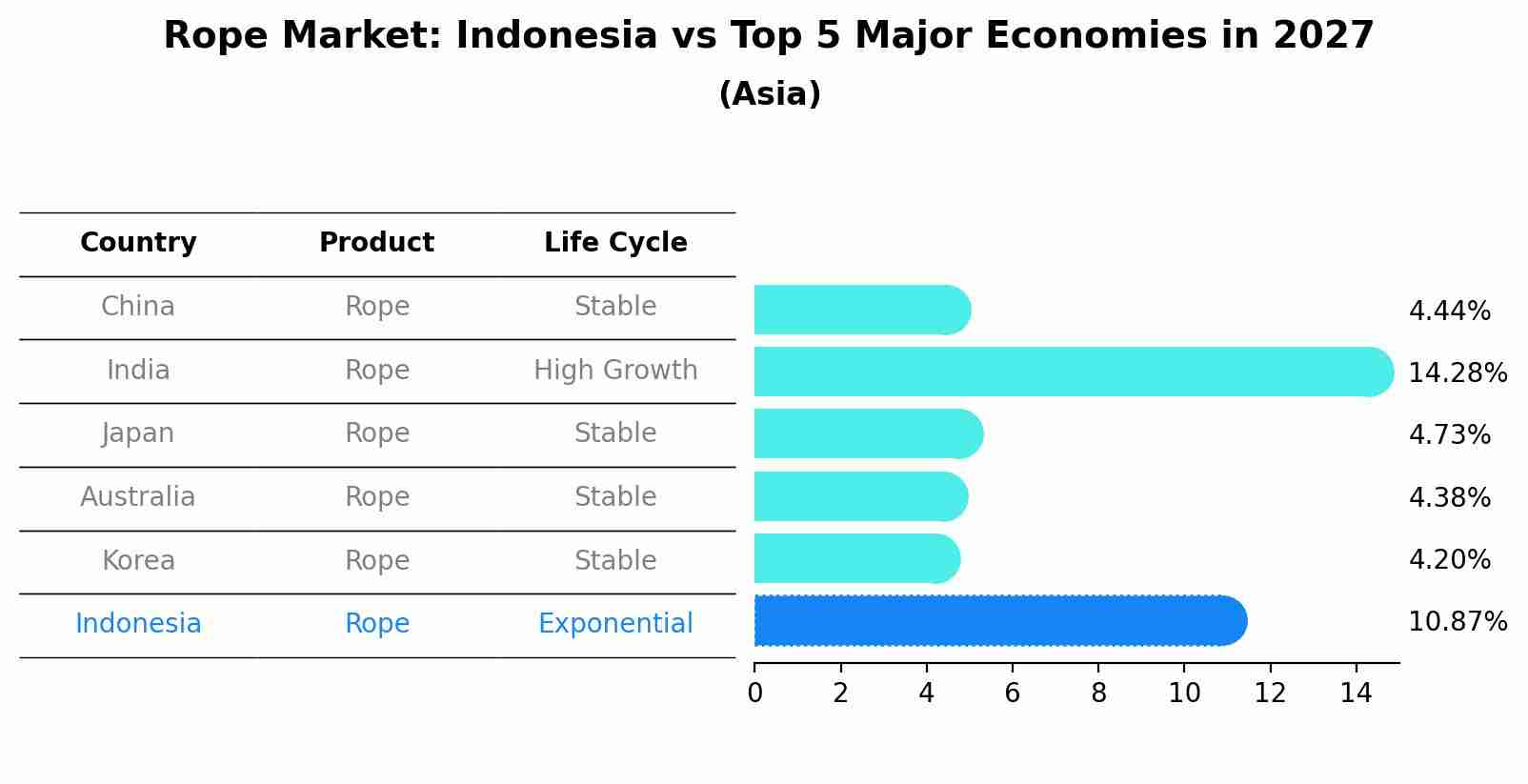 Rope Market: Indonesia vs Top 5 Major Economies in 2027 (Asia)