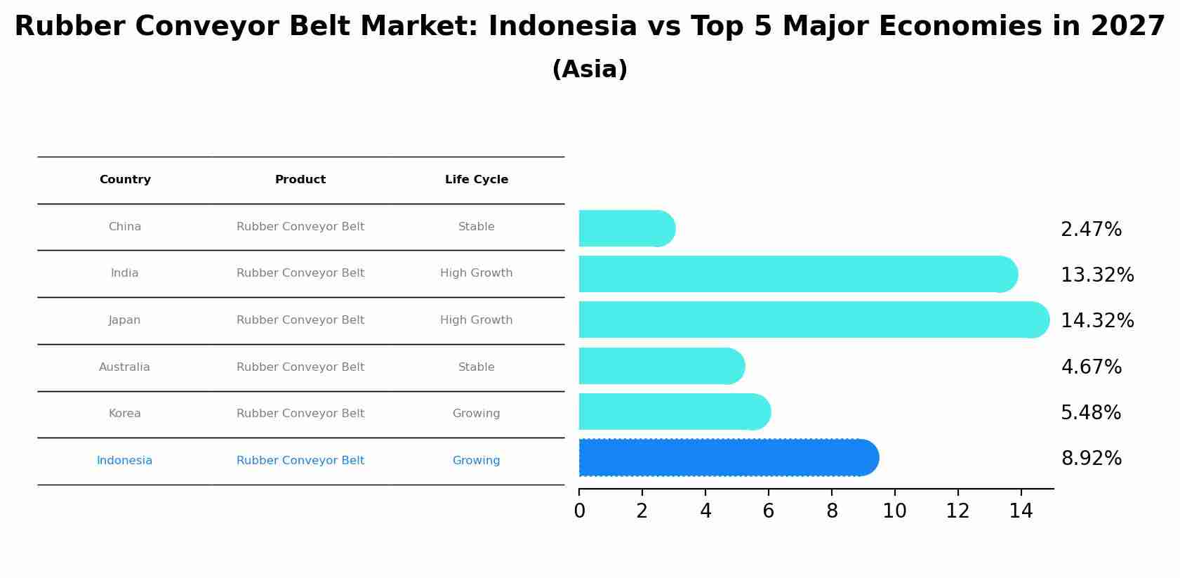 Rubber Conveyor Belt Market: Indonesia vs Top 5 Major Economies in 2027 (Asia)