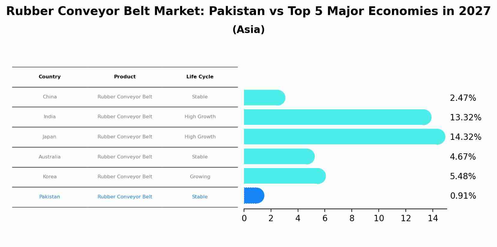 Rubber Conveyor Belt Market: Pakistan vs Top 5 Major Economies in 2027 (Asia)