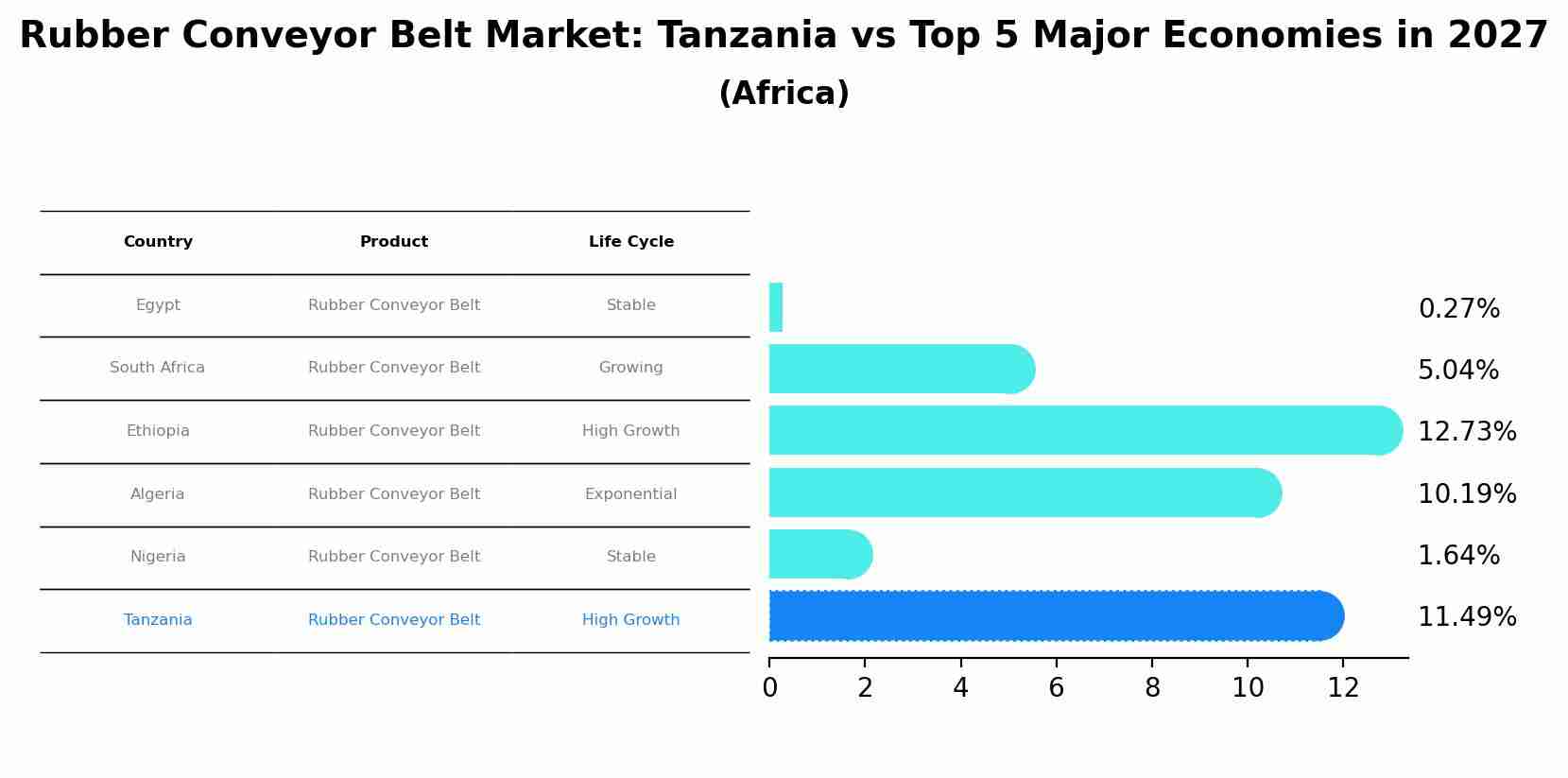 Rubber Conveyor Belt Market: Tanzania vs Top 5 Major Economies in 2027 (Africa)