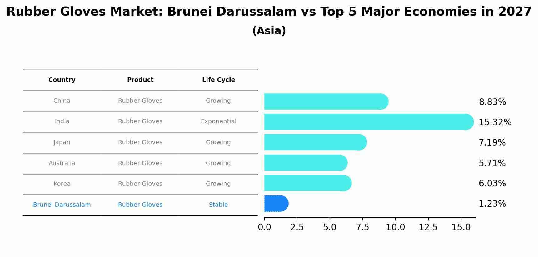 Rubber Gloves Market: Brunei Darussalam vs Top 5 Major Economies in 2027 (Asia)