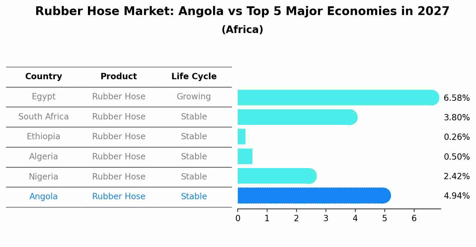 Rubber Hose Market: Angola vs Top 5 Major Economies in 2027 (Africa)