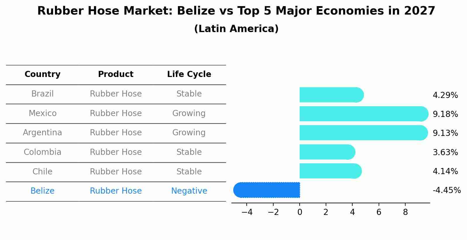 Rubber Hose Market: Belize vs Top 5 Major Economies in 2027 (Latin America)